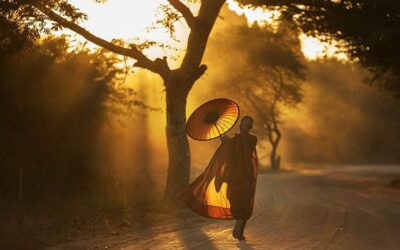 Chinese Geneeskunde in de zomer en het vuurelement